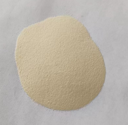 Protein Powder